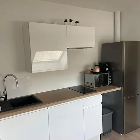 Apartman 303 - Hyper Centre - Integralement Renove - Toutes Commodites A Pied